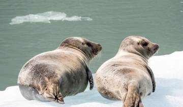 Icons of Western and Eastern Canada
