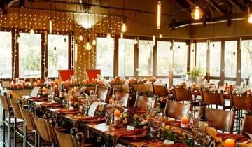 3-Day Cape Town Big Five Safari & Elephant Encounter