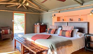 3-Day Cape Town Big Five Safari & Elephant Encounter