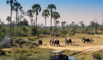 3-Day Chobe and Okavango Wildlife Safari