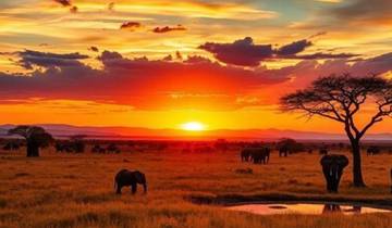 3-Day Luxury Kruger Safari from Johannesburg