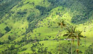 Upgraded - Highlights of Colombia