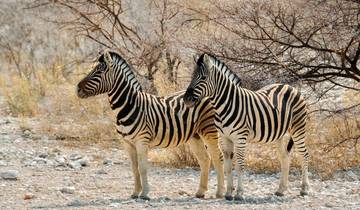 Upgraded - Highlights of Kenya Tour