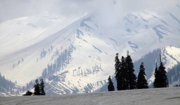 Aventure à Gulmarg : Une excursion d'une journée palpitante au départ de Srinagar
