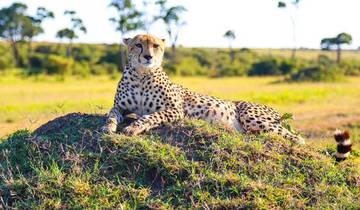 Upgraded - Highlights of Kenya & Tsavo (7 destinations) Tour