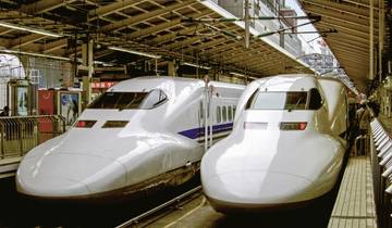 Japan entdecken (nur Landprogramm)