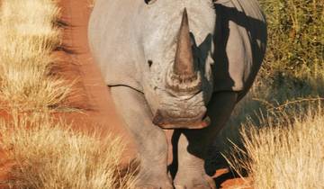 Namibia fur Einsteiger