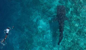 Central Maldives Discovery - 8 days Tour