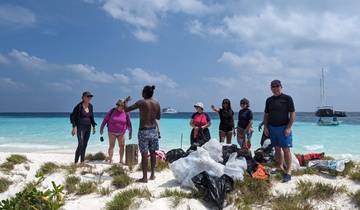 Maldives Whale Shark Conservation Cruise - 8 days Tour