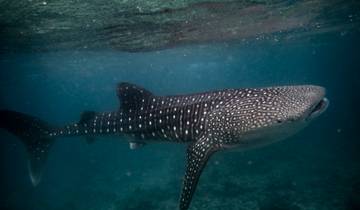 Maldives Baa Atoll Adventure - 8 days Tour