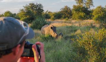 Zwischen Big-Five, Garden-Route und Tafelberg Rundreise