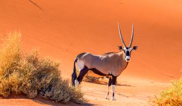 La Namibie rencontre l'Afrique du Sud : Desert Roadtrip & Wildlife Glamping (from Windhoek to Robben Island)