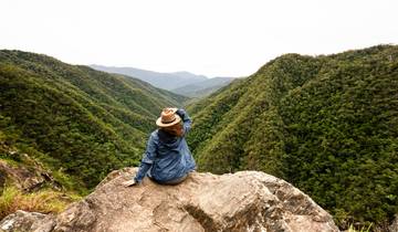 Australian Vanlife: East Coast, Waves & Wildlife!