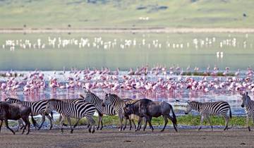 South Africa & Victoria Falls