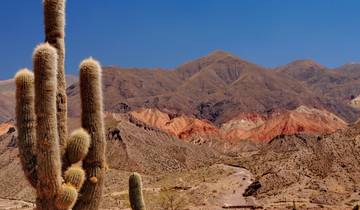 Circuito De Patagonia a Salta + Autocaravana en el Norte de Argentina (19 Días)