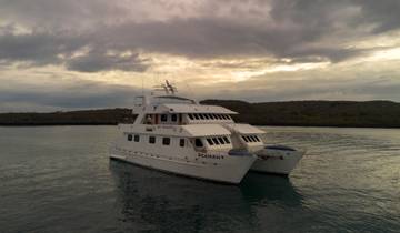 Andes to Galápagos Enchanted North Discovery Cruise (A) Tour