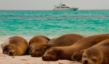 Anden nach Galapagos Nord-Süd Horizons Explorer Kreuzfahrt (C1)