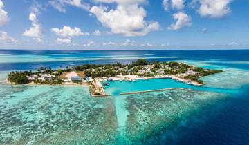 The Beauty of the Underwater World in the Maldives