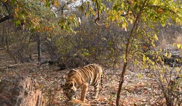 The most luxurious train journey of India Tour