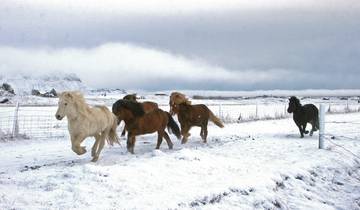 Nordlichtexpress Rundreise