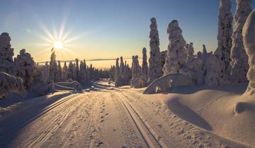 Finnland Rundreise - 8 Tage Winter Wunderland