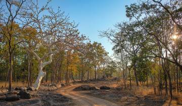 Sur la piste du tigre circuit