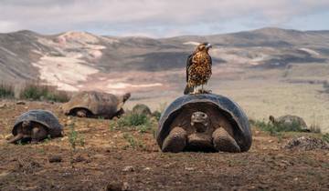 Crucero «Escapada mágica a las Galápagos» de 5 días: Floreana, Española y Santa Cruz