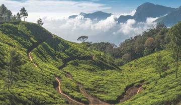 Découvrir le Kerala - Révéler les trésors du sud de l\'Inde circuit