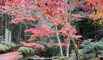 Trésors du sud du Japon 2026 circuit