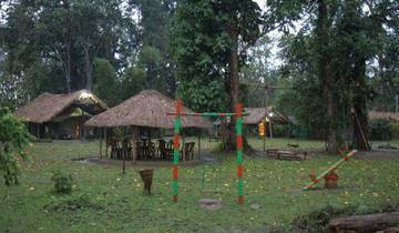 Odyssée des tigres et des rhinocéros : Une aventure complète de 14 jours (TOUT COMPRIS)