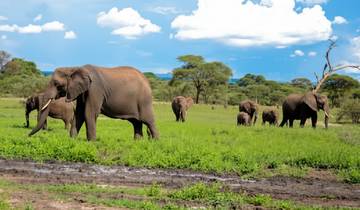 7-Day Northern Circuit Safari & Waterfall Hike Adventure. Tour