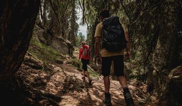 Hiking holidays Aletsch panorama trail Wallis