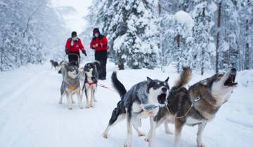Descubre Rovaniemi