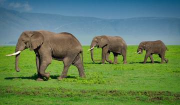 7-Day Private Luxury Safari for Groups Tour