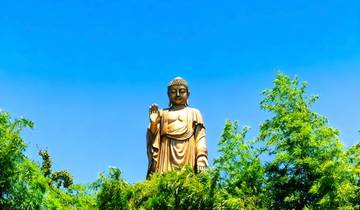 Ultimate 4-Day Private Tour in East China: Shanghai, Suzhou, Wuxi, Nanjing Tour