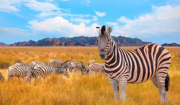 Experience Namibia\'s Highlights 15 Days Tour