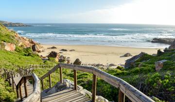 Südafrika - die Highlights der Kapregion und Gardenroute erwandern (16 Tage)