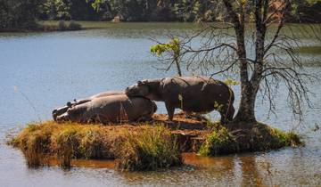 Beleef de hoogtepunten van Zuid-Afrika (17 dagen)-rondreis
