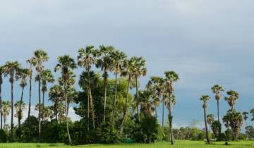Kambodscha - Mit dem Fahrrad von Phnom Penh nach Siem Reap (7 Tage)
