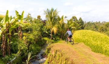 Indonesiens Highlights erleben (16 Tage)