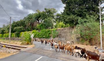 Portugal - Discover the Alentejo Region on Hidden Trails by Gravel Bike 7 Days
