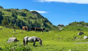 Allgäu & Lechtaler Alpen (7 dagen)