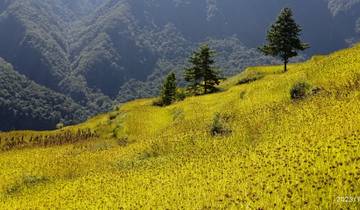 Kanchenjunga Circuit Trek (26 dagen)-rondreis