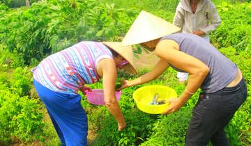 Vietnam- die Highlights von Norden nach Süden in 15 Tagen (15 Tage)