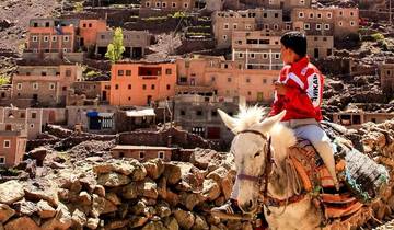 Marrakech:Morocco1 7 Days1 7 Days Tour