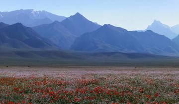 Uzbekistan Singles & Solo Travelers 12 Days Tour