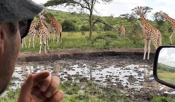 Primate Safari in Uganda in a Group 11 Days