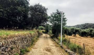 Portugal - Historische Dörfer & Douro-Tal mit Gravel-Bike erkunden (8 Tage)