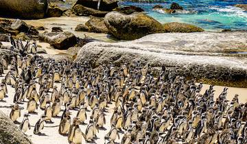 Zuid-Afrika & Eswatini: Regenboog (21 dagen)-rondreis