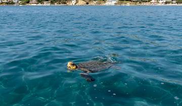 Crucero Turquía - 8 días